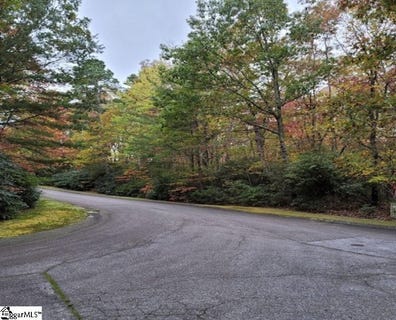 /international/us/3-larkspur-lane-cleveland-sc-110078239078/