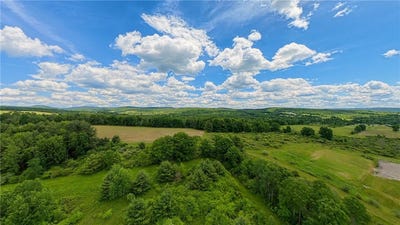 /international/us/27-lintal-drive-horseheads-ny-110108847262/