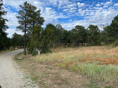 /international/us/10-wild-wings-circle-pecos-nm-110088562345/