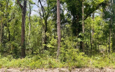 /international/us/lot42-sw-76th-drive-jasper-fl-110098911353/