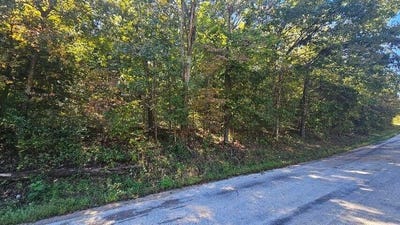 /international/us/eastwood-hills-block-6-lot-2-theodosia-mo-110103656589/