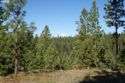 /international/us/8-ginger-way-goldendale-wa-110103523221/