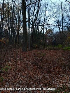 /international/us/beechwood-dr-williamston-mi-110106465968/