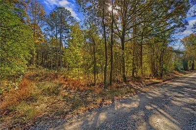 /international/us/lot-6-melvin-lane-dover-ar-110104510616/
