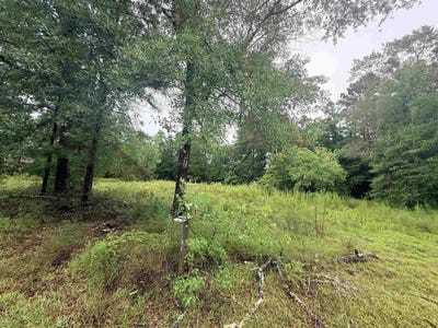 /international/us/645-vanderburg-st-kountze-tx-110109333797/