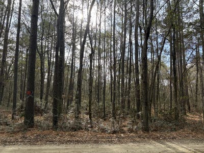 /international/us/hercules-lane-mcclellanville-sc-110105064055/