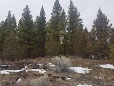 /international/us/10-ac-county-rd-133c-davis-creek-ca-110105842837/