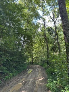 /international/us/1000-howard-fork-road-gunlock-ky-110101214564/