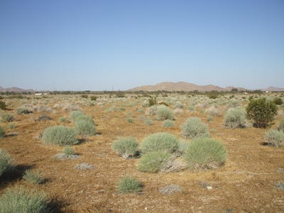 /international/us/n-vim-rosamond-ca-110086867837/