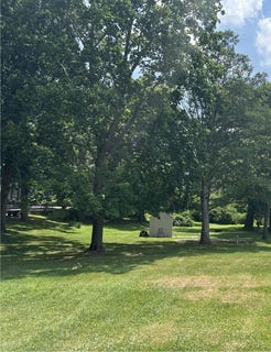 /international/us/v-l-s-blossom-lake-drive-colon-mi-110100916736/