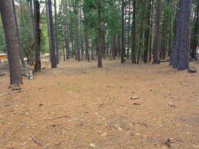 /international/us/2045-red-bluff-trail-quincy-ca-110098541385/
