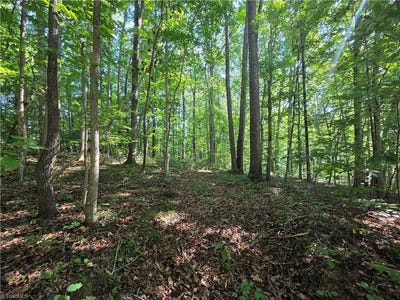 /international/us/pin-tail-drive-lot-1-reidsville-nc-110109714433/