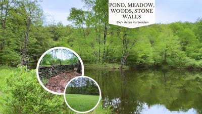 /international/us/lot-6-2-launt-hollow-road-hamden-ny-110099576911/?lang=zh-tw