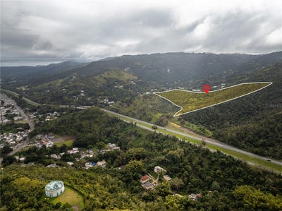 /international/us/km-hm-59-3-carr-1-bo-quebrada-arriba-cayey-pr-110106260356/