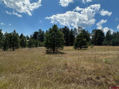 /international/us/272-hills-circle-pagosa-springs-co-110101295426/?lang=zh-cn