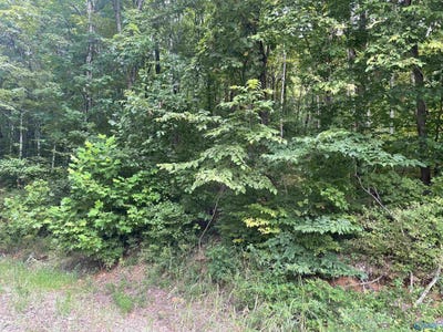 /international/us/lot-9-ridge-trail-gurley-al-110101505659/?lang=zh-cn