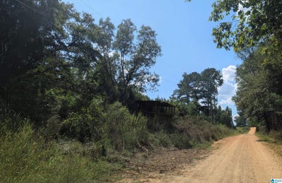 /international/us/county-road-163-lot-2-parcels-incl-jemison-al-110120042228/