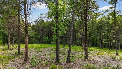 /international/us/299-whitetail-ridge-dittmer-mo-110108195967/