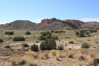 /international/us/14-blackfoot-trail-abiquiu-nm-110088362820/