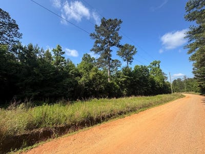 /international/us/lewis-drive-lot-7-georgetown-ga-110108333951/