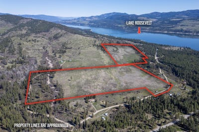 /international/us/tbd-cobbs-creek-rd-inchelium-wa-110107452987/