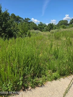 /international/us/159-littleworth-road-manahawkin-nj-110100685378/