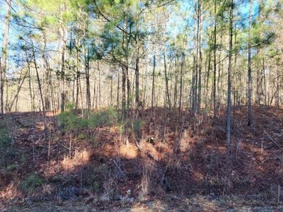 /international/us/pine-ridge-way-lot-e-25-salem-sc-110101537769/