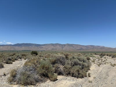 /international/us/fenceline-road-gardnerville-nv-110100774697/
