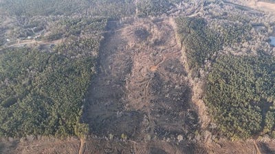 /international/us/county-road-82-coffeeville-ms-110105736195/