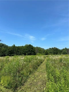 /international/us/9-19-acres-105th-avenue-jim-falls-wi-110100993810/?lang=zh-cn