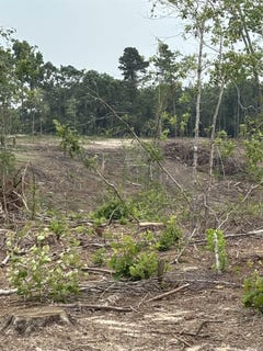 /international/us/hwy-355-s-saratoga-ar-110103257687/