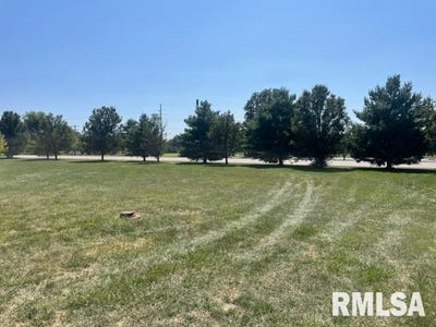 /international/us/lot-5-eastland-court-carlinville-il-110078282637/?lang=zh-cn