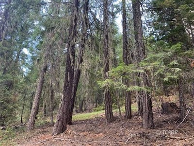 /international/us/361-mule-lovers-ln-hayfork-ca-110101360957/