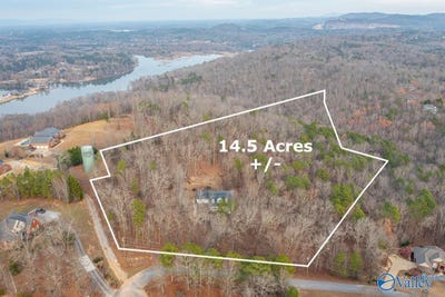 /international/us/157-hickory-ridge-drive-glencoe-al-110104330304/