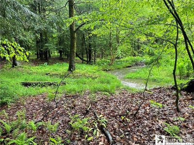 /international/us/walker-road-bemus-point-ny-110107663654/