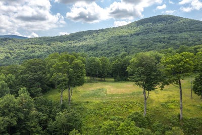 /international/us/500-nims-road-lot-2-dorset-vt-110100596573/