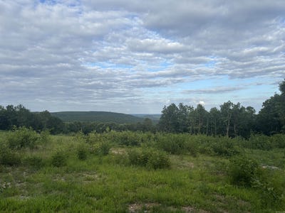 /international/us/2095-dry-mountain-road-drasco-ar-110108930572/