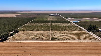 /international/us/19294-avenue-13-1-2-madera-ca-110119994464/