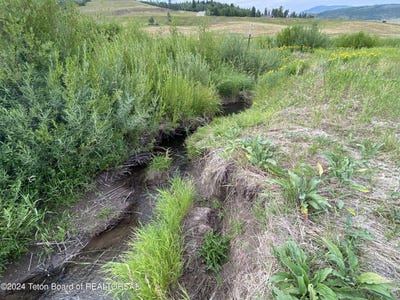 /international/us/48-grouse-loop-road-freedom-id-110094313758/