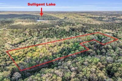 /international/us/0-abernathy-road-sulligent-al-110107049099/