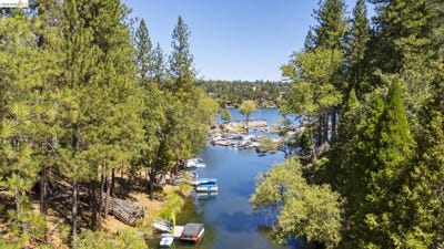 /international/us/19824-pine-mountain-dr-groveland-ca-110106469495/