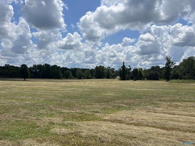 /international/us/22-20-acres-county-road-125-moulton-al-110101429992/?lang=zh-cn