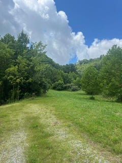 /international/us/00-sawmill-road-debord-ky-110086066675/