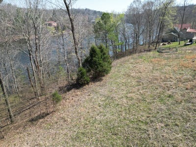 /international/us/0-canyon-run-road-lewisburg-ky-110104238988/
