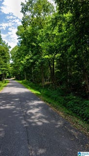 /international/us/hickory-hill-road-lot-1509320001221000-rainbow-city-al-110108204659/