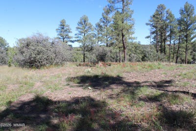 /international/us/004t-elk-trail-show-low-az-110120424273/