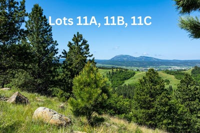 /international/us/tract-11c-lookout-vista-road-spearfish-sd-110108541474/?lang=fr
