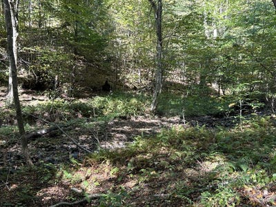 /international/us/possum-hollow-road-lot-2-terra-alta-wv-110102427484/