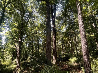 /international/us/spottswood-rd-spottswood-va-110108745536/