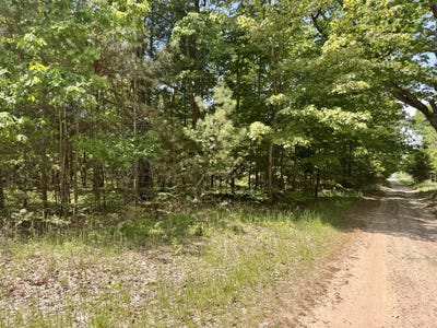 /international/us/par-5-needles-road-indian-river-mi-110108635811/